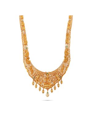 Fascinating Gold Fancy Necklace-hover