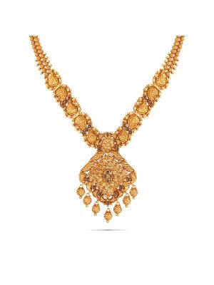 Fascinating Gold Fancy Necklace-hover