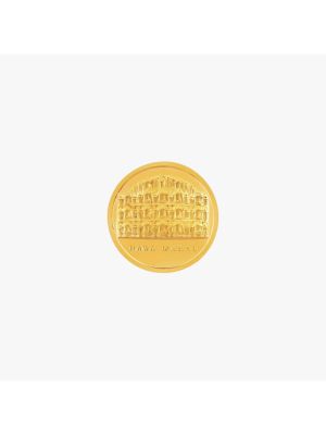 Hawa mahal pure coin-hover